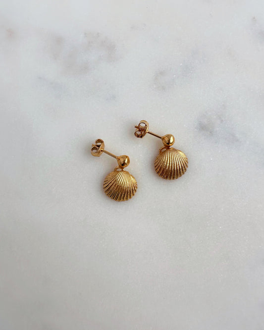 Little Shells earrings